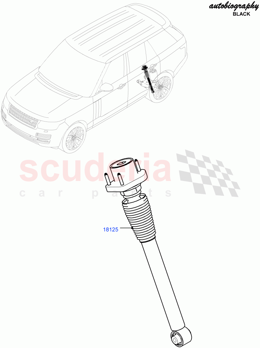 Rear Springs And Shock Absorbers(5.0L P AJ133 DOHC CDA S/C Enhanced,Standard Wheelbase,Brake Calipers - Black,Brake Calipers - Red,5.0L OHC SGDI SC V8 Petrol - AJ133)((V)FROMGA000001) of Land Rover Land Rover Range Rover (2012-2021) [3.0 I6 Turbo Diesel AJ20D6]