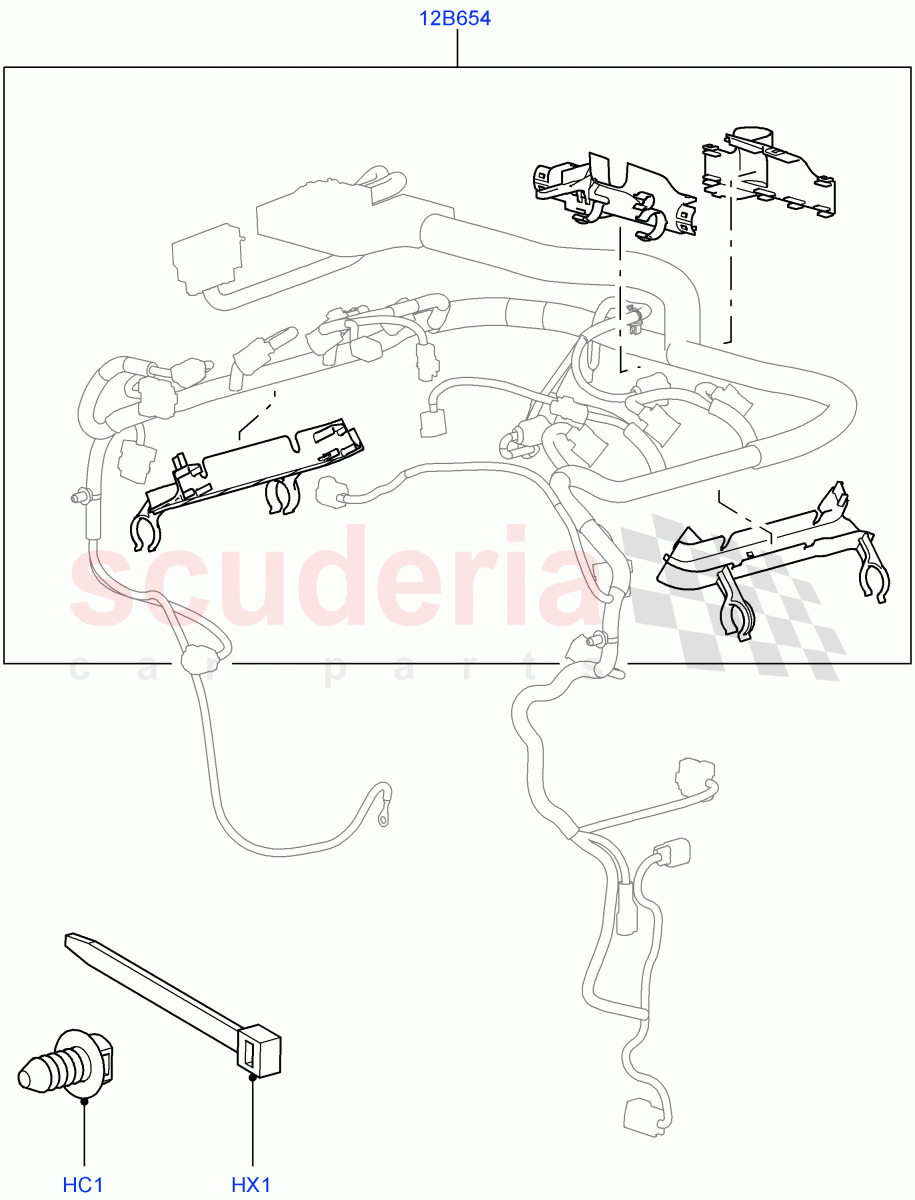 Wiring Clamps (Lion Diesel 2.7 V6 (140KW)) ((V) FROMAA000001) of Land Rover Land Rover Discovery 4 (2010-2016) [3.0 DOHC GDI SC V6 Petrol]