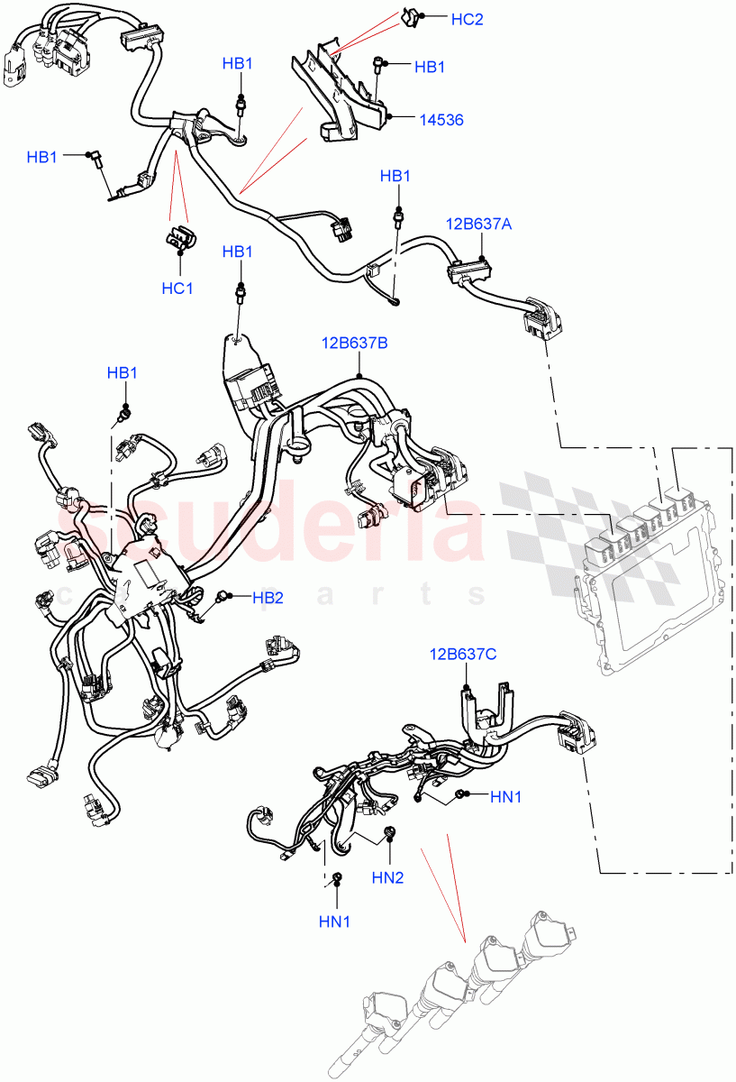 Engine Harness(LH Side)(4.4 V8 Turbo Petrol (NC10)) of Land Rover Land Rover Range Rover (2022+) [3.0 I6 Turbo Diesel AJ20D6]