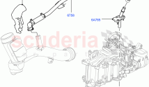 Emission Control - Crankcase(4.4L DOHC DITC V8 Diesel)