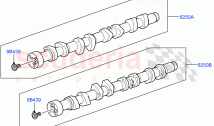 Camshaft(5.0L P AJ133 DOHC CDA S/C Enhanced)((V)FROMKA000001)