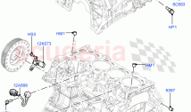 Cylinder Block And Plugs(2.0L 16V TIVCT T/C Gen2 Petrol, Halewood (UK), 2.0L 16V T&hellip;