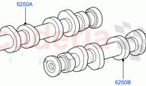 Camshaft(Cologne V6 4.0 EFI (SOHC))((V)FROMAA000001)