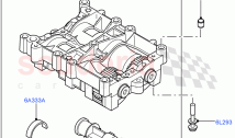 Balance Shafts And Drive(2.2L CR DI 16V Diesel, 2.2L DOHC EFI TC DW12)