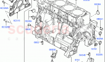 Cylinder Block And Plugs(2.2L CR DI 16V Diesel, 2.2L DOHC EFI TC DW12)