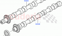 Camshaft(2.2L DOHC EFI TC DW12, 2.2L CR DI 16V Diesel)