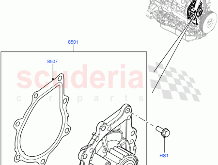 Photo of TORNILLO…