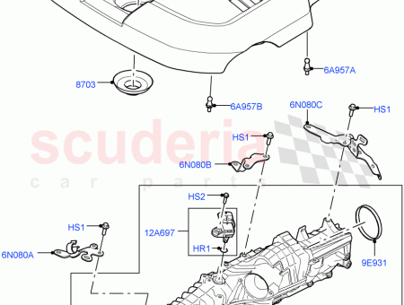 Photo of ESP RRAGO BOLA…