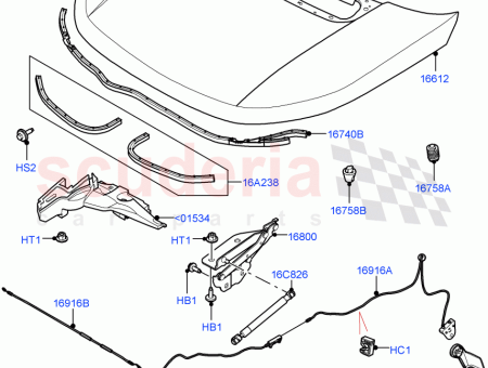 Photo of JUNTA BONETE…