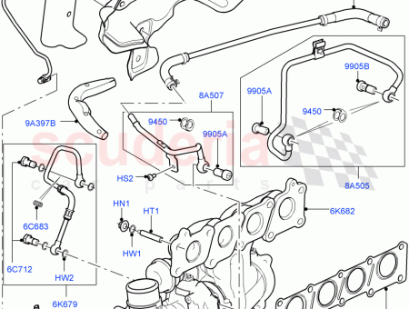 Photo of Hose…