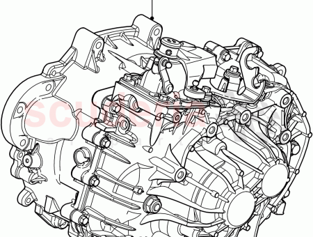 Photo of TRANSEJE…