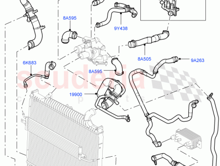 Photo of MANGUERA…