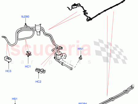 Photo of TUBER A COMBUSTIBLE…