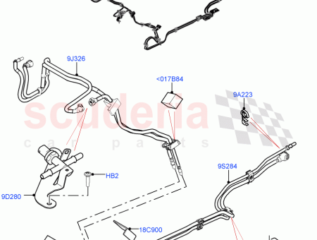 Photo of TUBER A COMBUSTIBLE…
