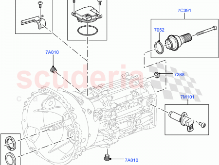 Photo of KIT SEAL…