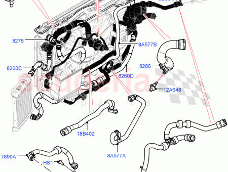 Photo of MANGUERA RADIADOR…