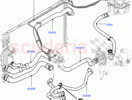 Photo of MANGUERA RADIADOR…