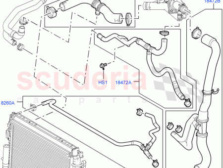 Photo of MANGUERA RADIADOR…