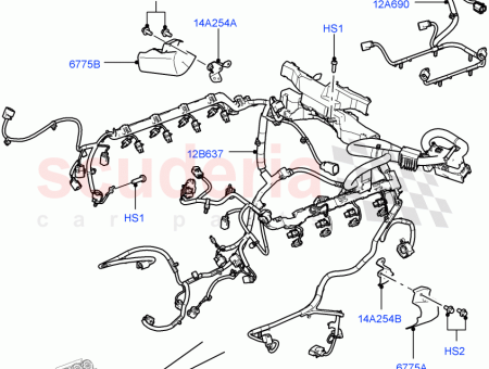 Photo of ESCUDO T RMICO…