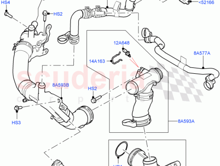 Photo of MANGUERA…