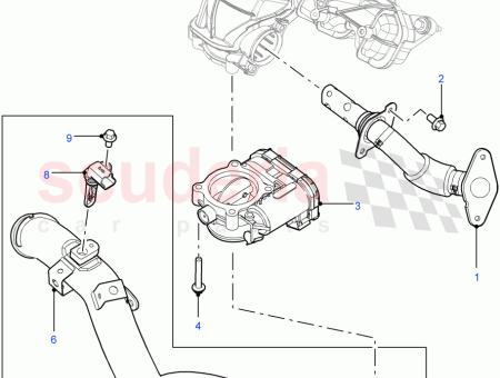 Photo of TUBER A EGR…