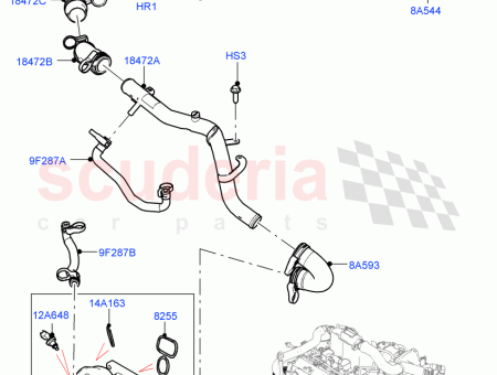 Photo of TUBO BY PASS…