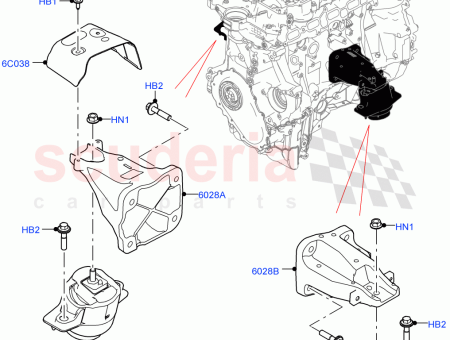 Photo of ESCUDO T RMICO…