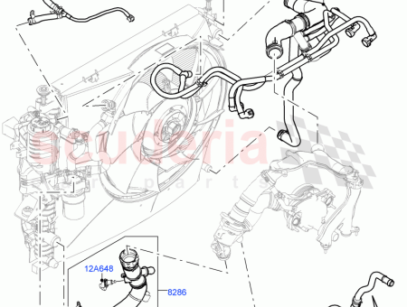 Photo of MANGUERA…