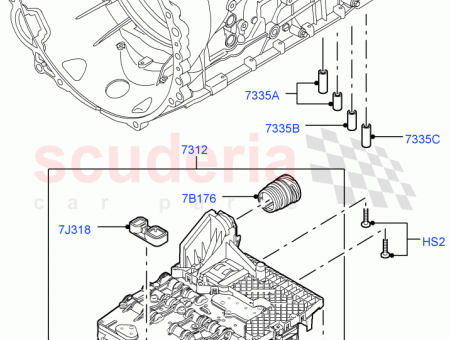 Photo of TORNILLO…