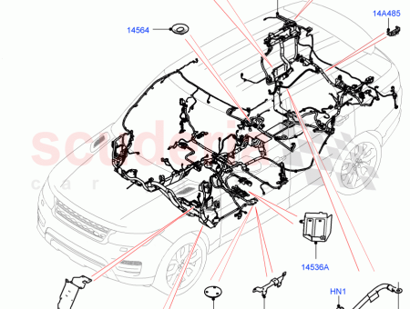 Photo of ARN S DEL CUERPO PRINCIPAL…