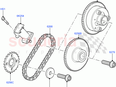 Photo of CORREA CADENA DISTRIBUCI N…
