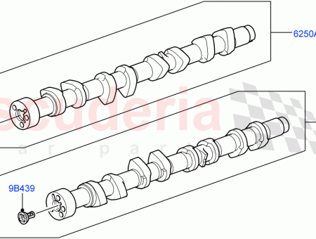 Photo of EJE DE CAMAS…