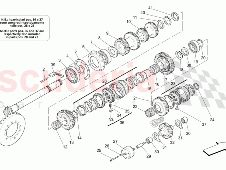 Photo of SCREW…