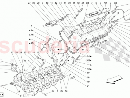 Photo of SCREW…